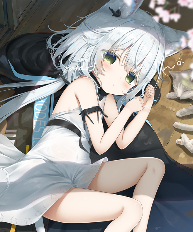 Rosmontis (Arknights) Rule 34 Image