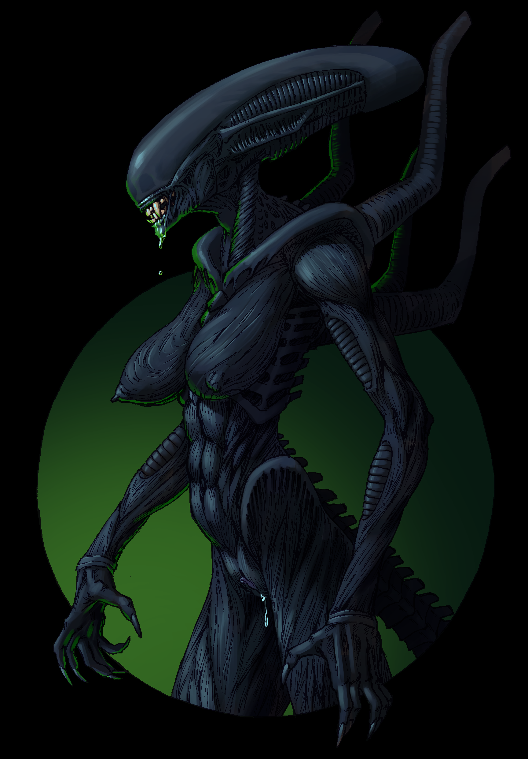 Xenomorph (Alien (Franchise)) Rule 34 Image
