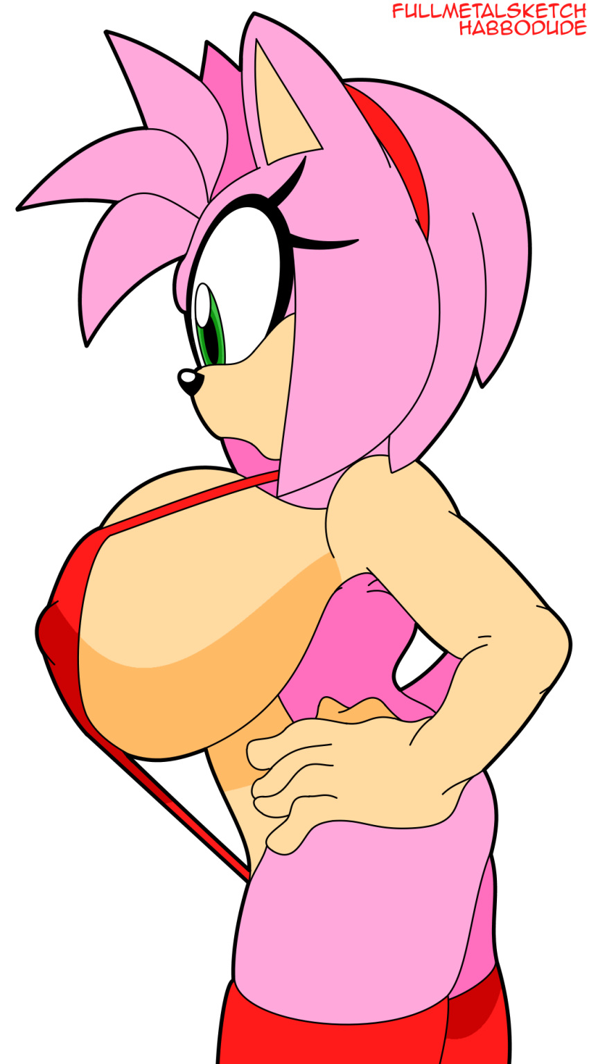 Amy Rose (Sega) Rule 34 Image