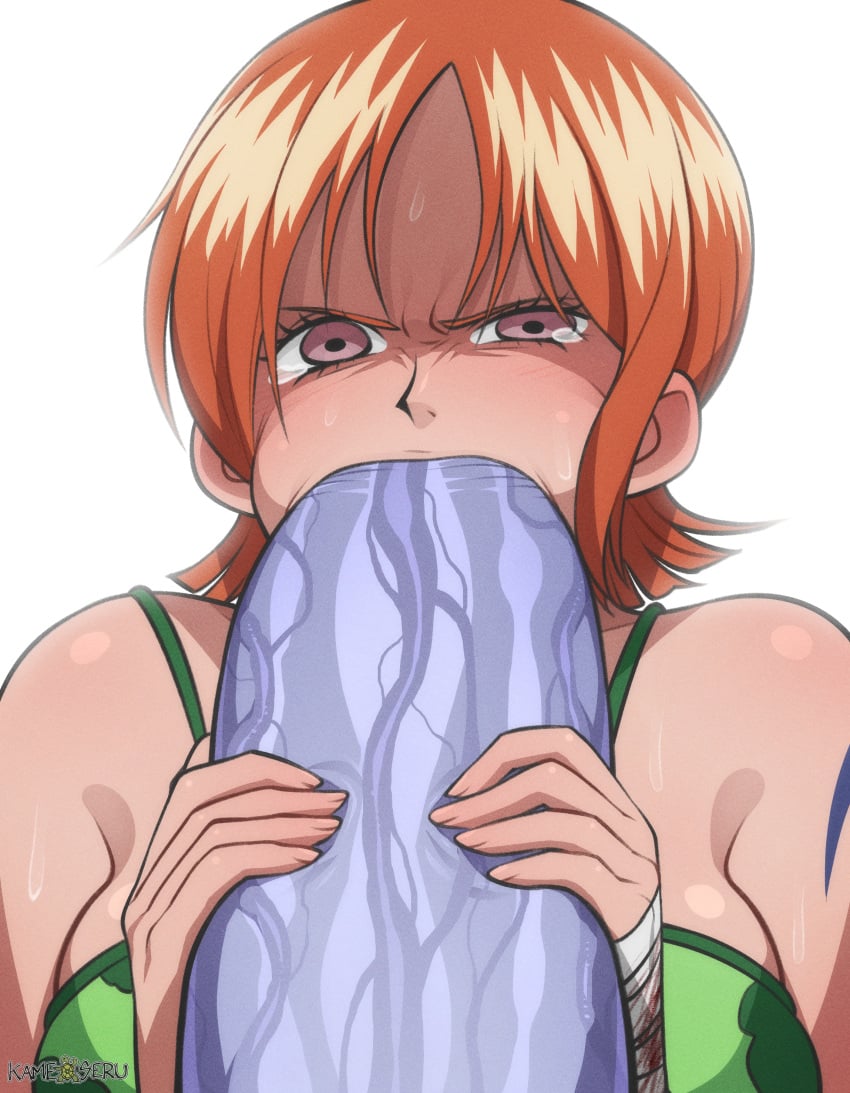 Arlong (One Piece) Rule 34 Image