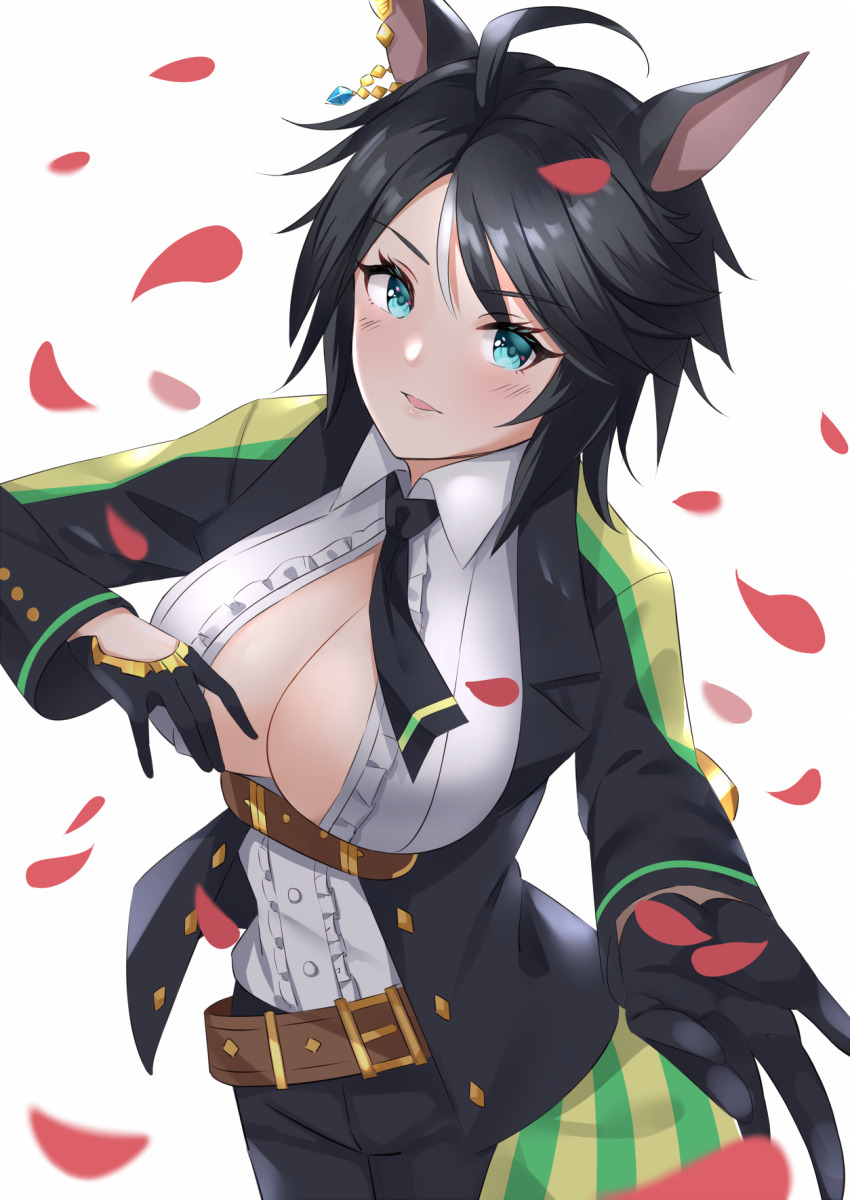 Fuji Kiseki (Shooting Star Revue) (Umamusume) Rule 34 Image