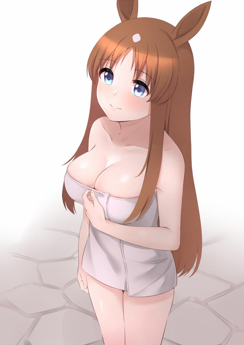 Grass Wonder (Umamusume) Rule 34 Image