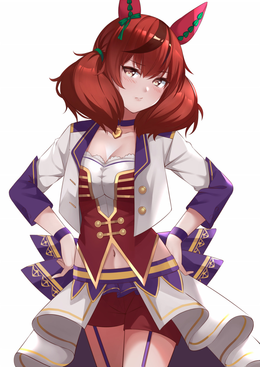 Nice Nature (Umamusume) Rule 34 Image