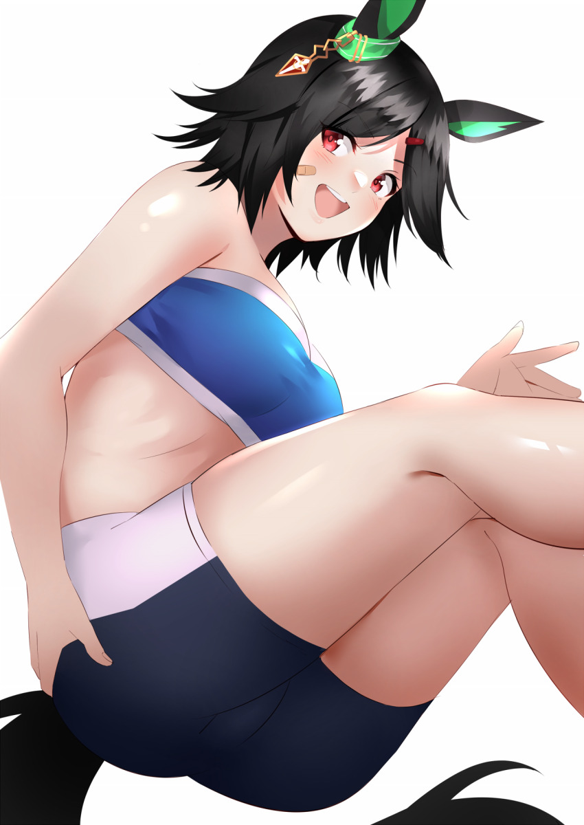 Winning Ticket (Umamusume) Rule 34 Image