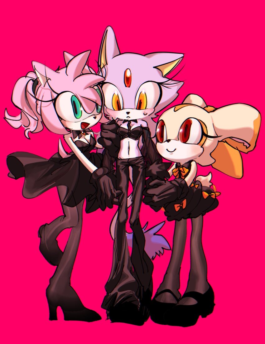 Amy Rose (Sonic (Series)) Rule 34 Image