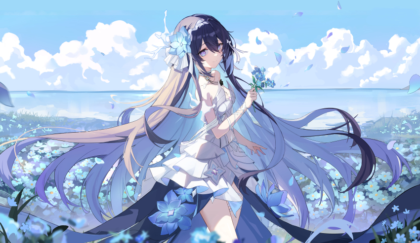 Seele Vollerei (Honkai (Series)) Rule 34 Image