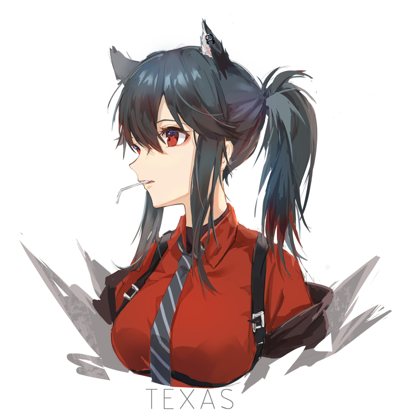 Texas (Arknights) Rule 34 Image