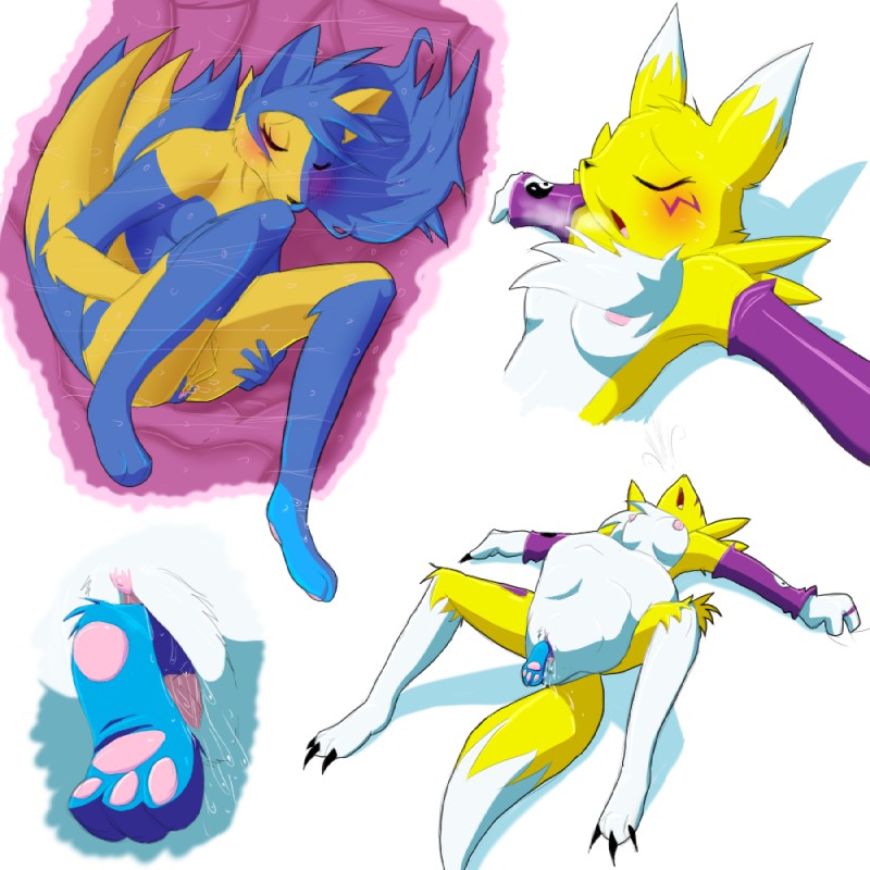 Renamon (Bandai Namco) Rule 34 Image