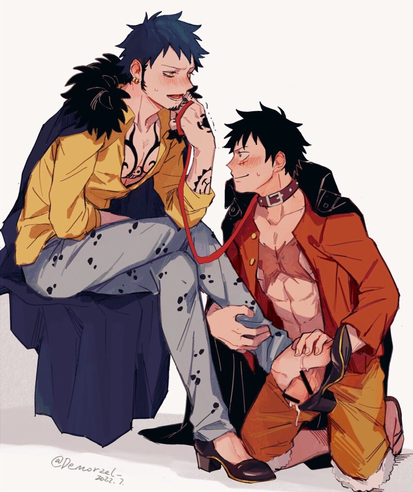Trafalgar Law (Monkey D. Luffy) Rule 34 Image
