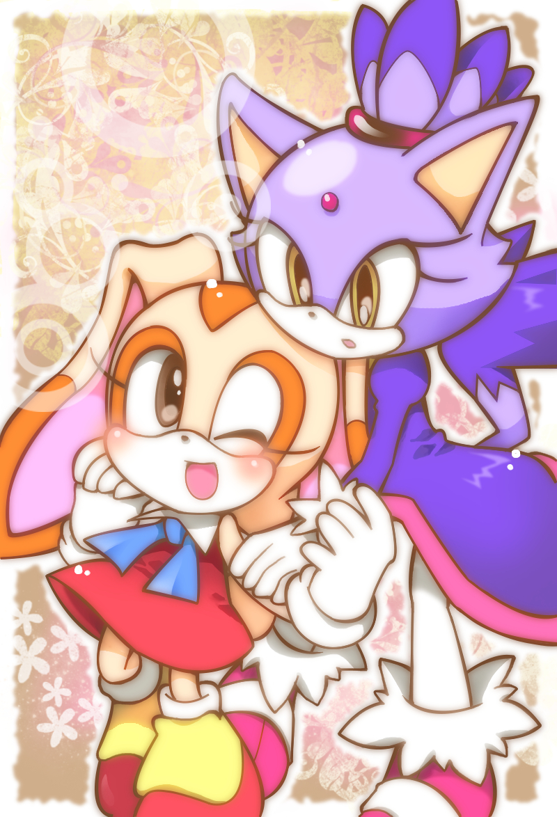 Blaze The Cat (Sonic (Series)) Rule 34 Image