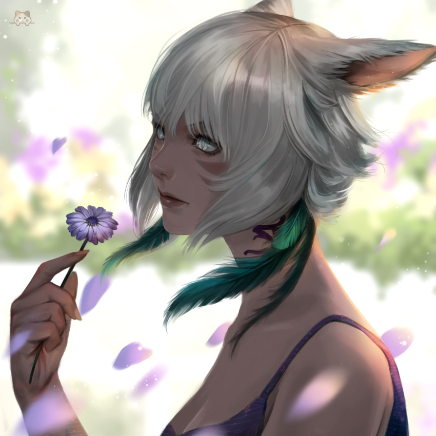Miqo'Te (Final Fantasy) Rule 34 Image