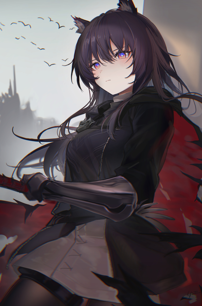 Texas (Arknights) Rule 34 Image