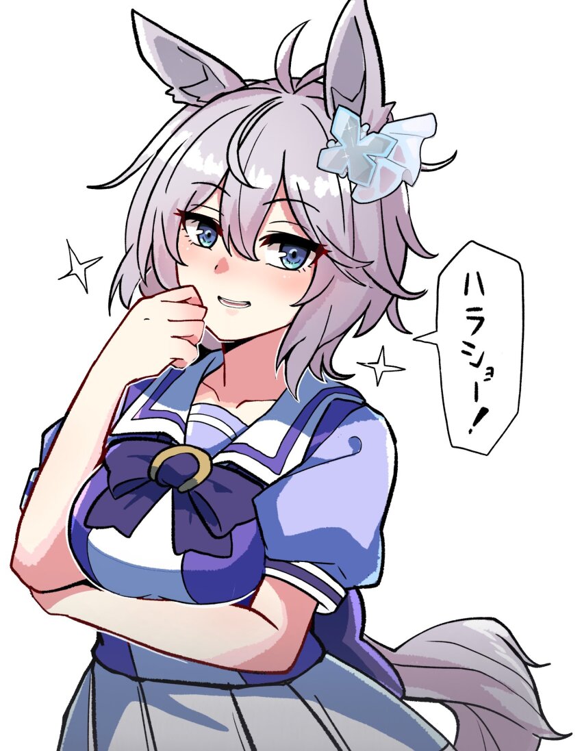 Agnes Tachyon (Umamusume) Rule 34 Image
