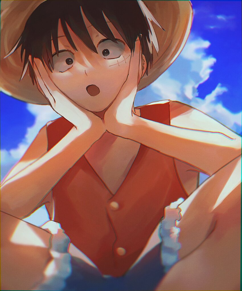 Monkey D. Luffy Rule 34 Image