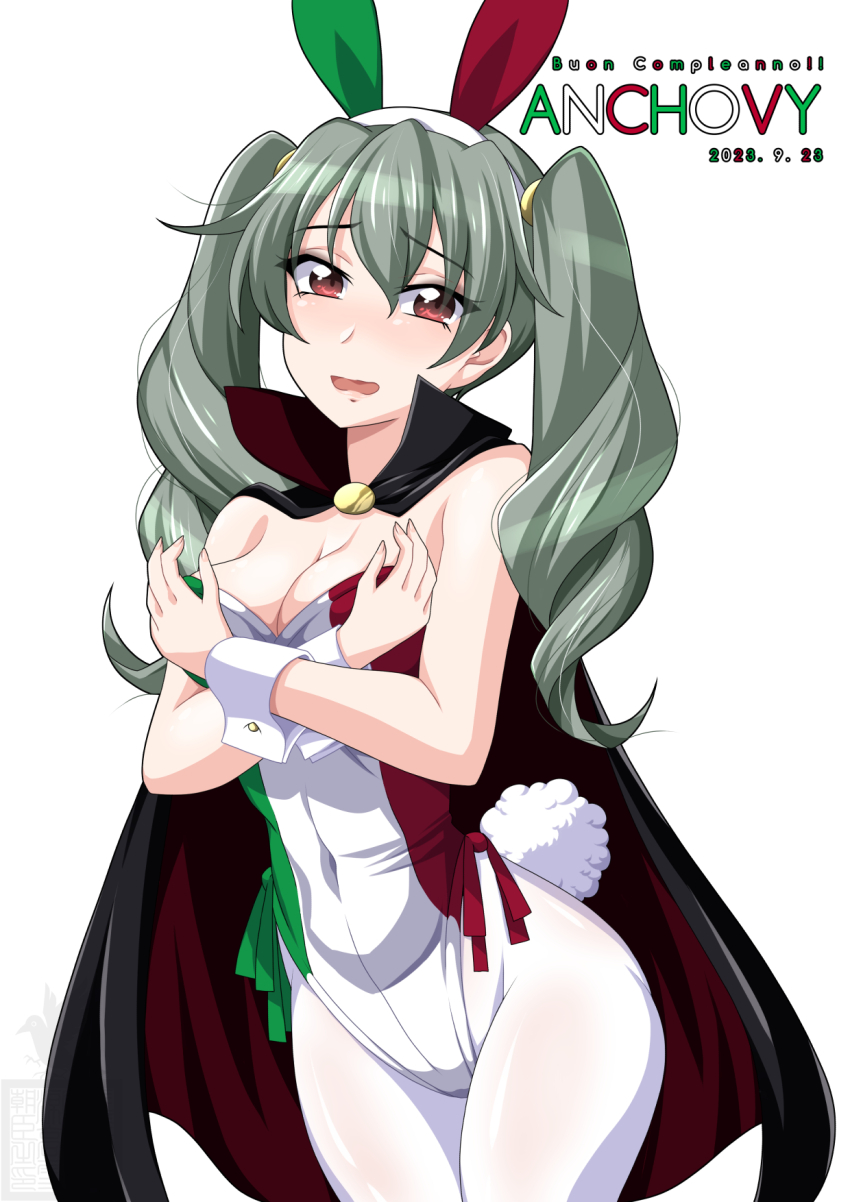 Anchovy (Girls Und Panzer) Rule 34 Image