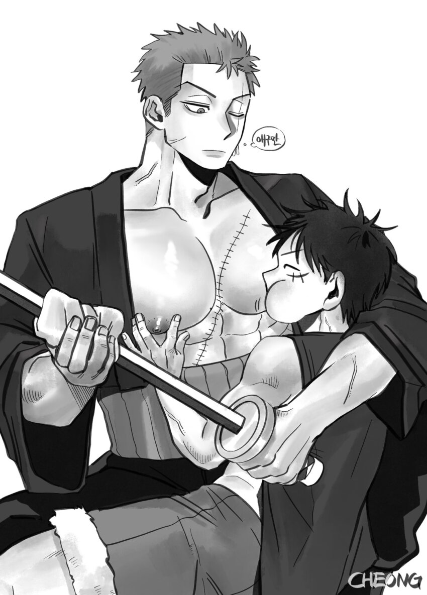 Roronoa Zoro (Monkey D. Luffy) Rule 34 Image