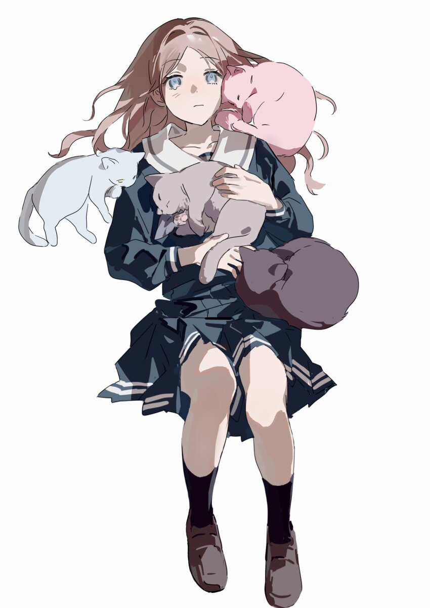 Chihaya Anon (Bang Dream!) Rule 34 Image
