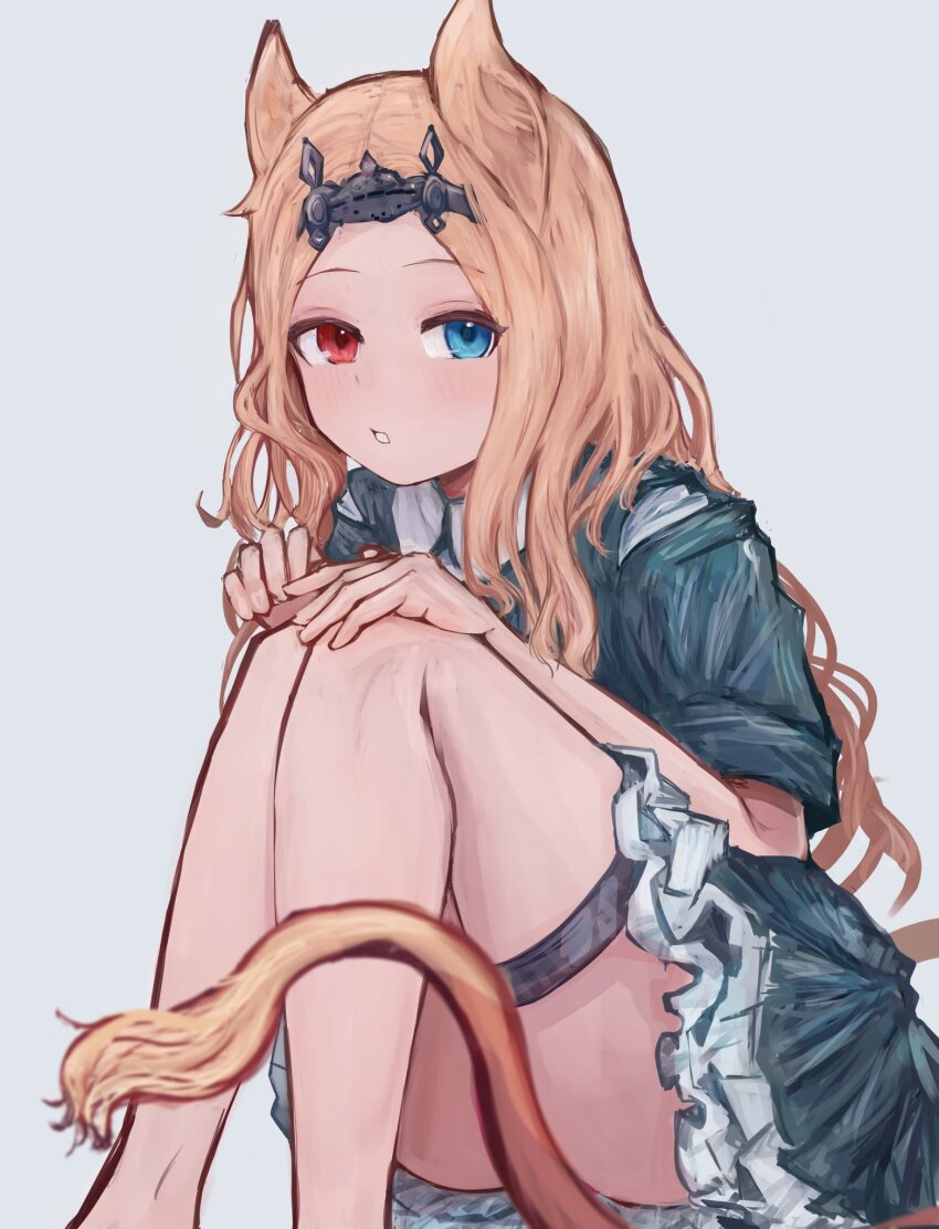Archetto (Arknights) Rule 34 Image