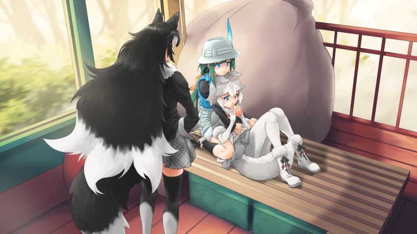 Dog (Mixed Breed) (Kemono Friends) Rule 34 Image