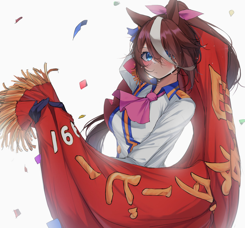 Tokai Teio (Umamusume) Rule 34 Image