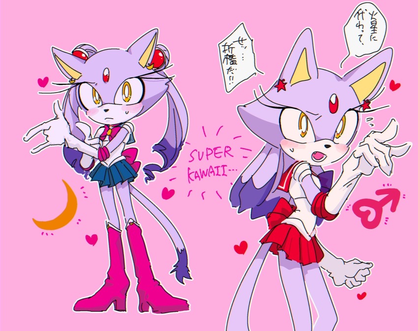 Blaze The Cat (Bishoujo Senshi Sailor Moon) Rule 34 Image