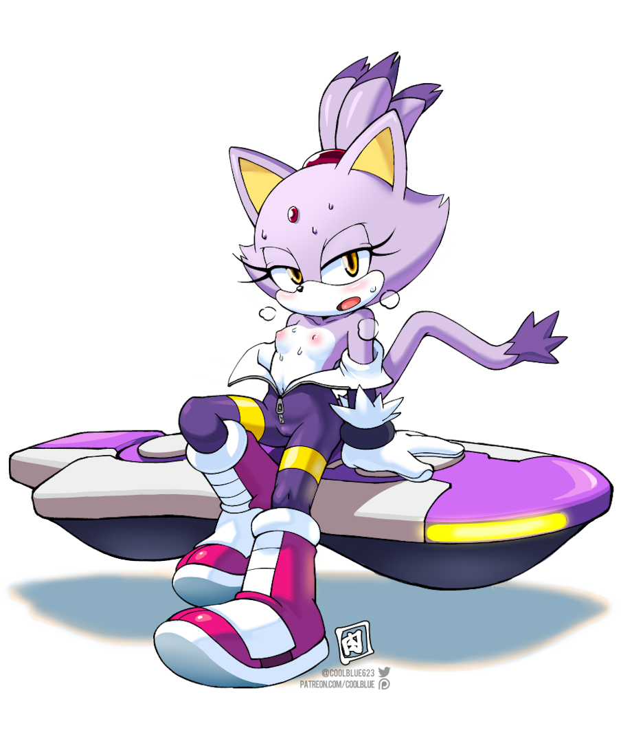 Blaze The Cat (Sonic (Series)) Rule 34 Image