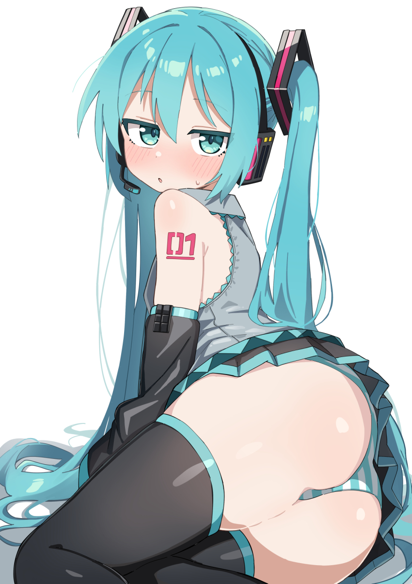 Hatsune Miku (Vocaloid) Rule 34 Image