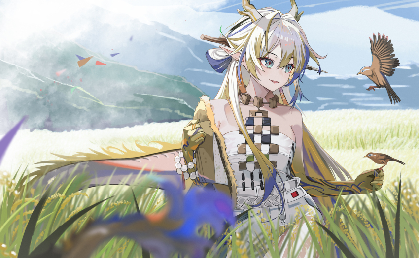 Shu (Arknights) Rule 34 Image