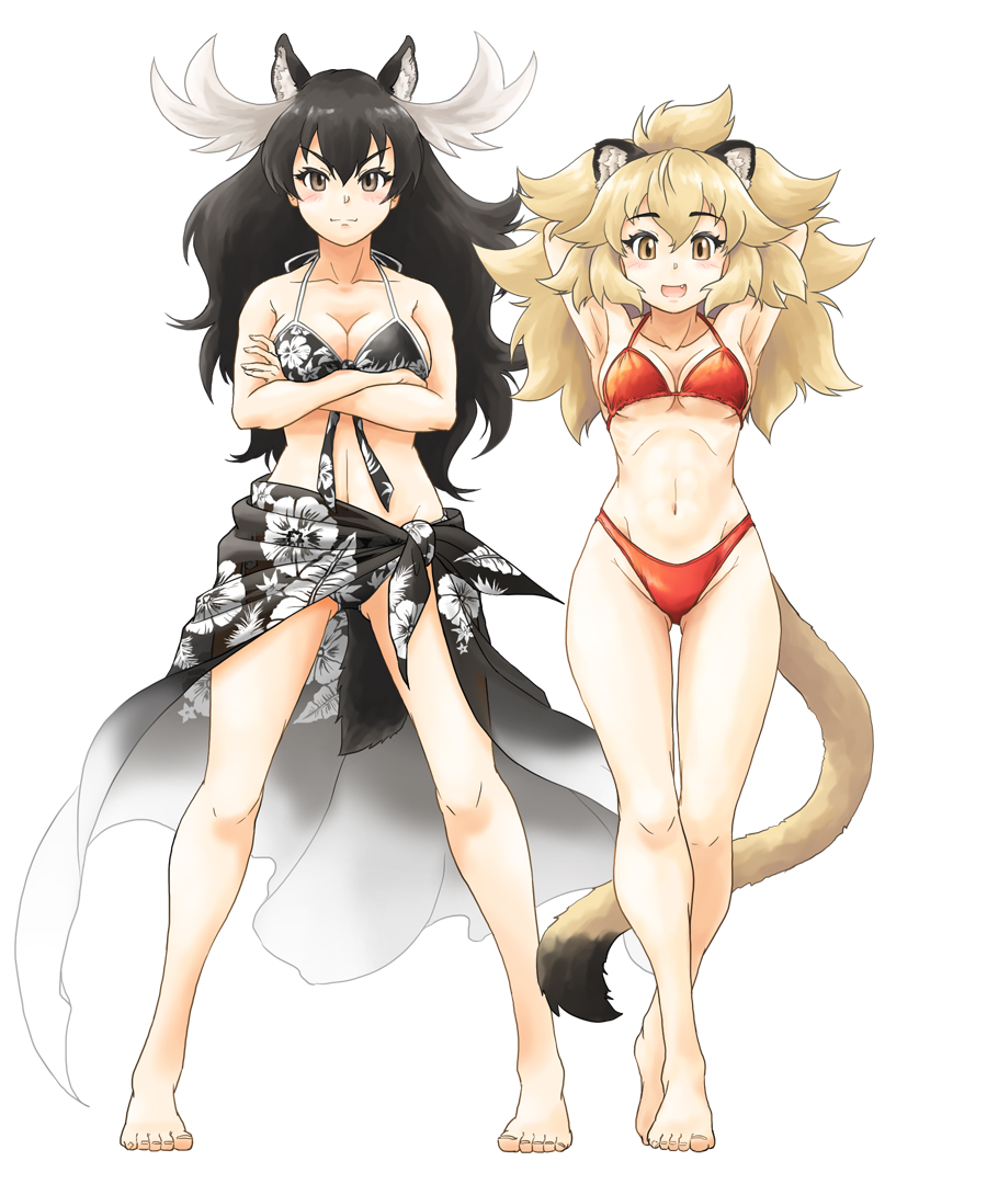 Lion (Kemono Friends) Rule 34 Image