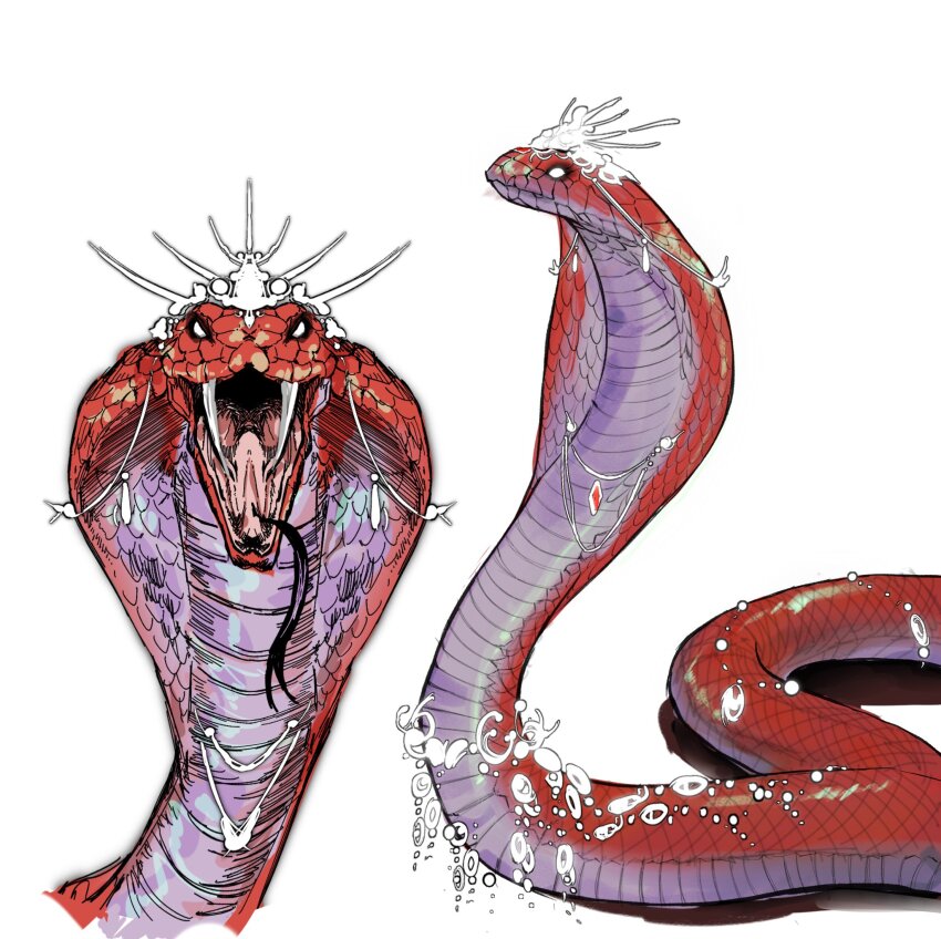 Orin The Red (Baldur'S Gate) Rule 34 Image