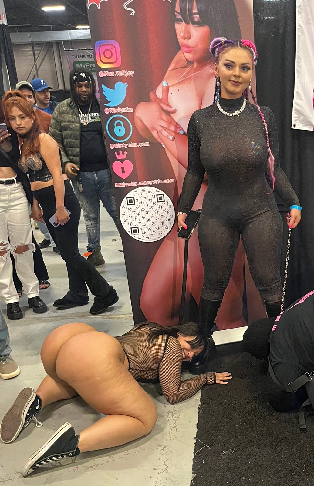 Nixlynka Rule 34 Image