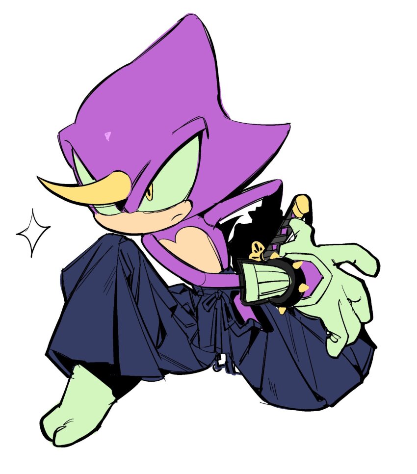 Chameleon Boy (Sonic (Series)) Rule 34 Image