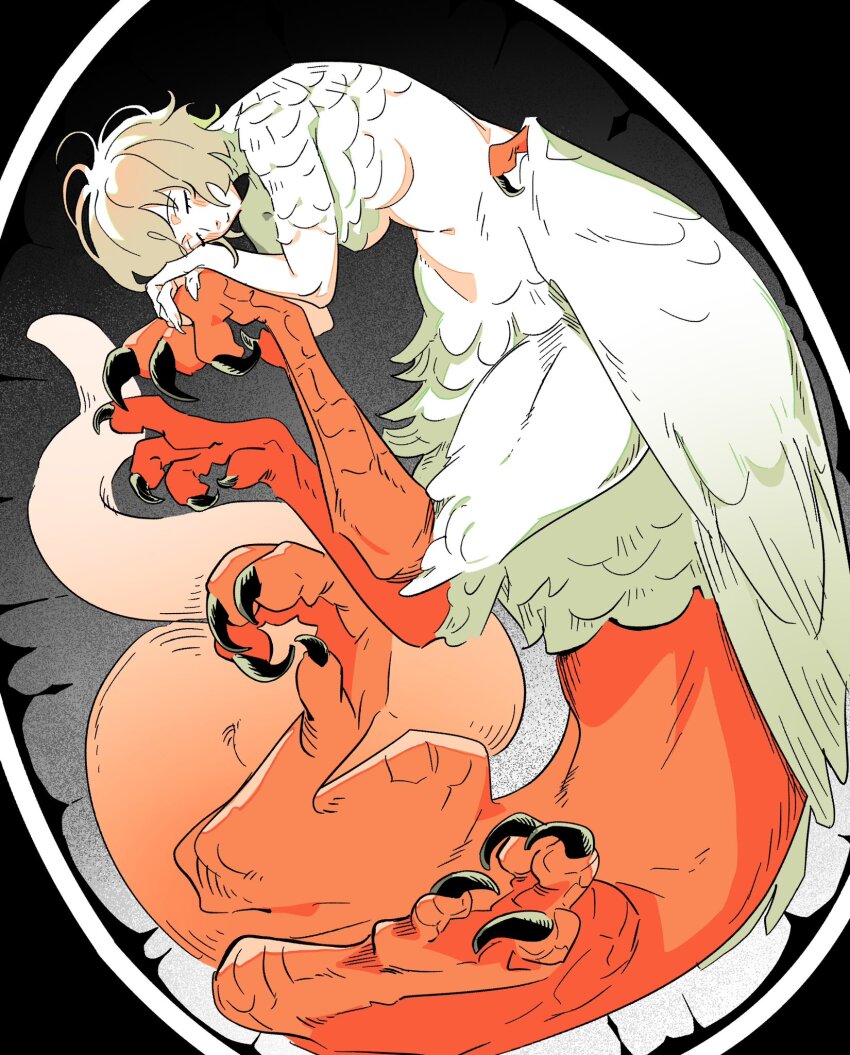Falin Touden (Dungeon Meshi) Rule 34 Image