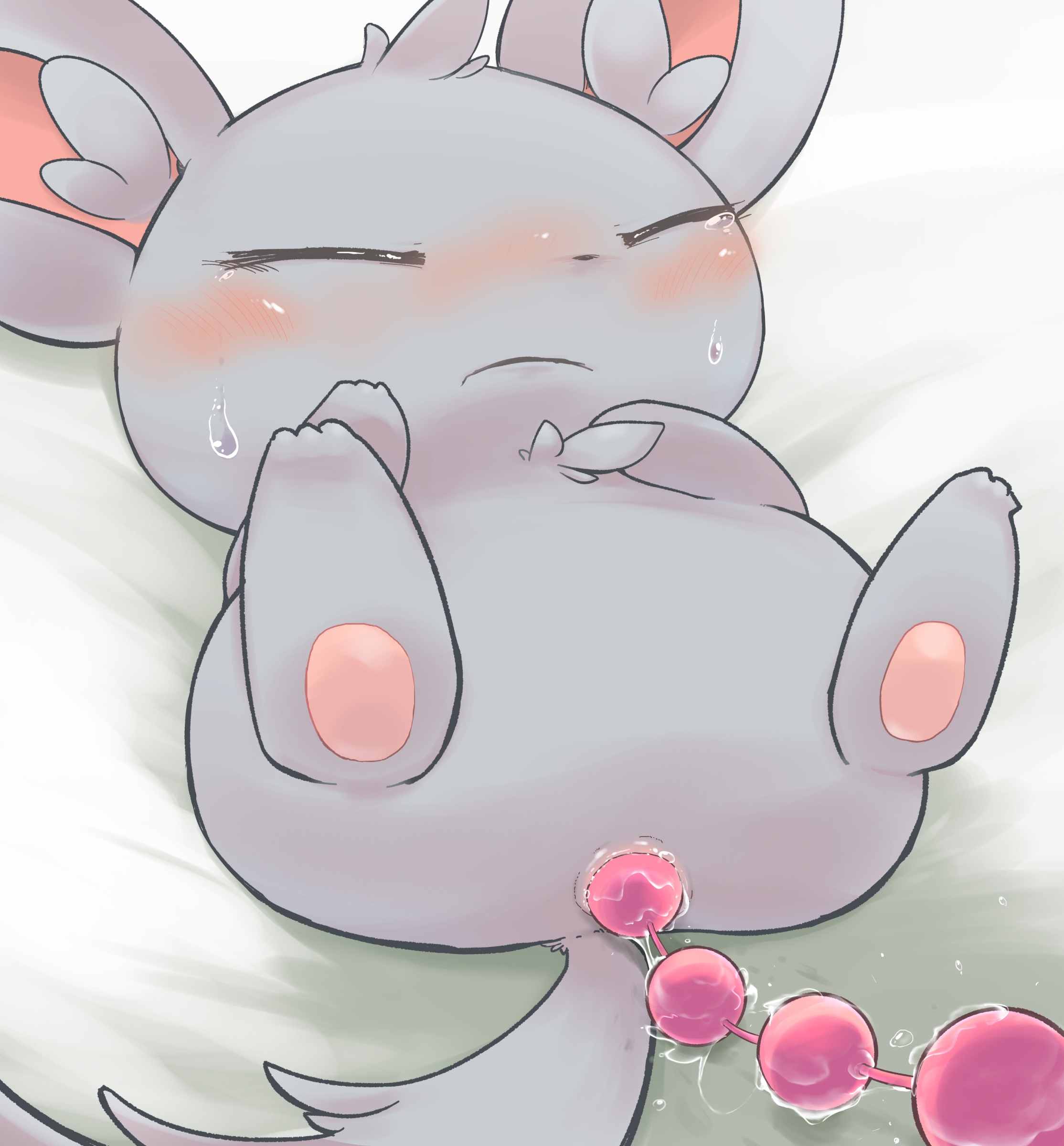 Minccino (Pokemon) Rule 34 Image