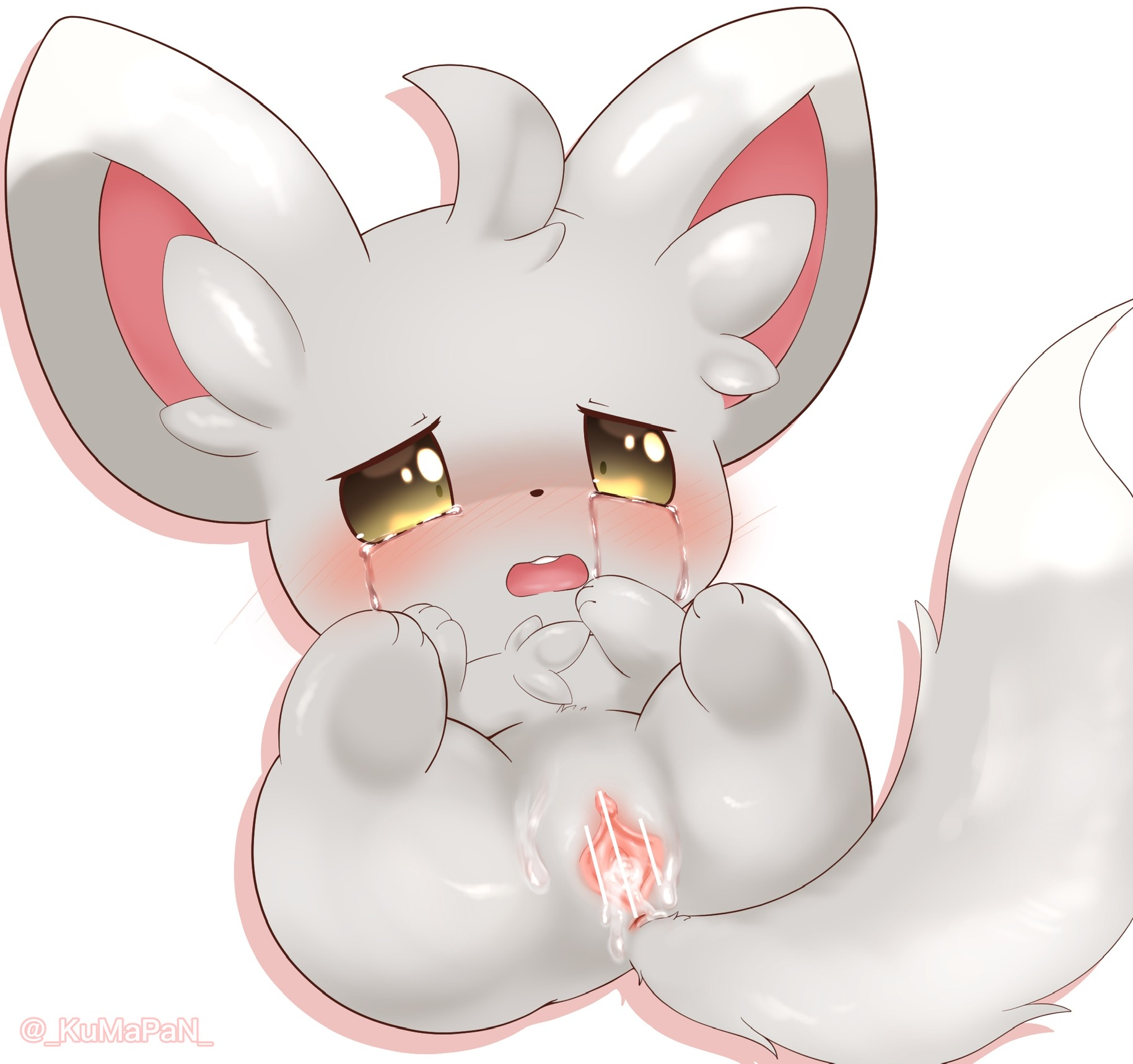 Minccino (Pokemon) Rule 34 Image