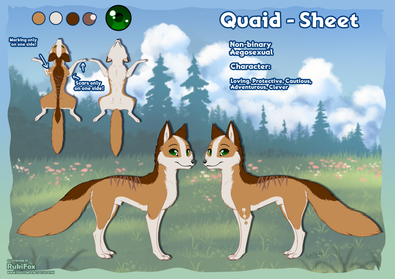Quaid (Rukifox) Rule 34 Image