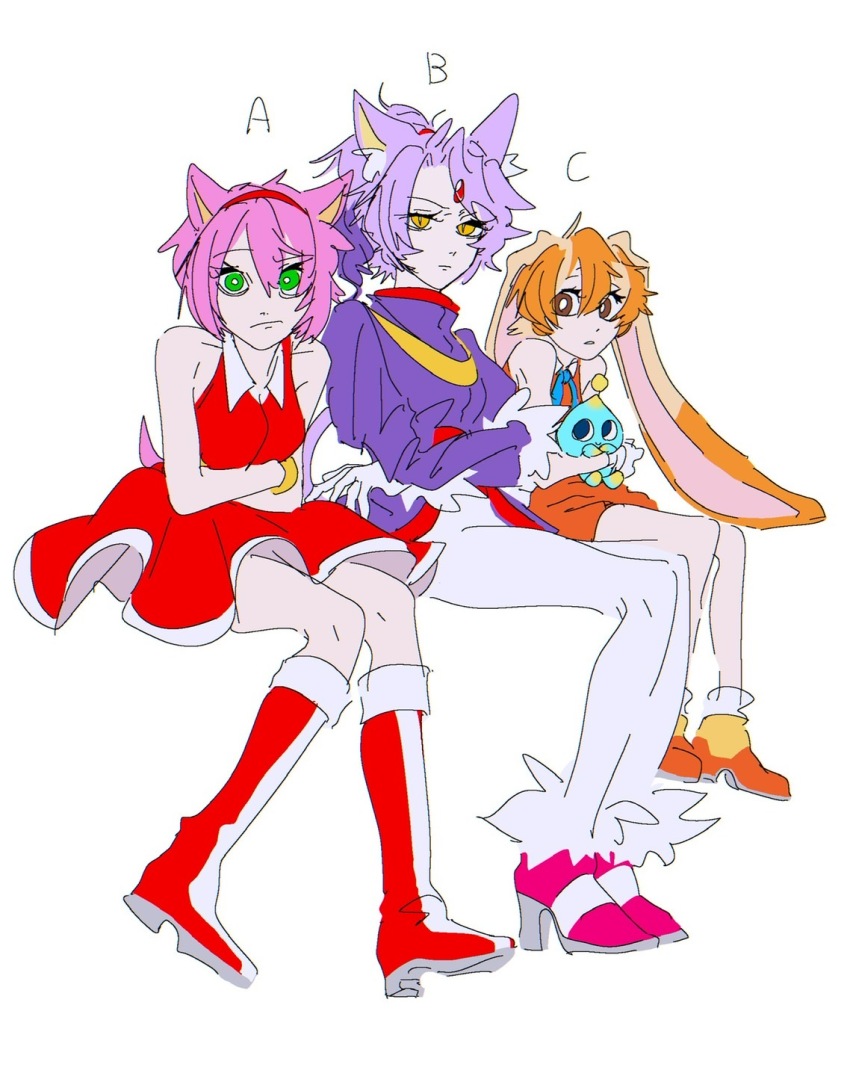 Amy Rose (Sonic (Series)) Rule 34 Image