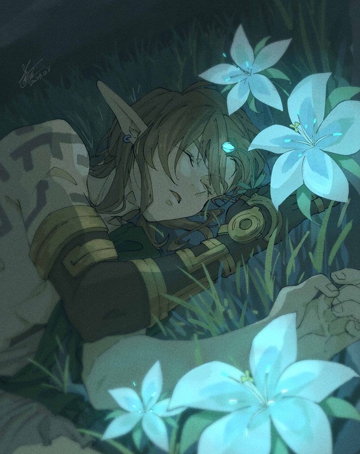Link (Nintendo) Rule 34 Image