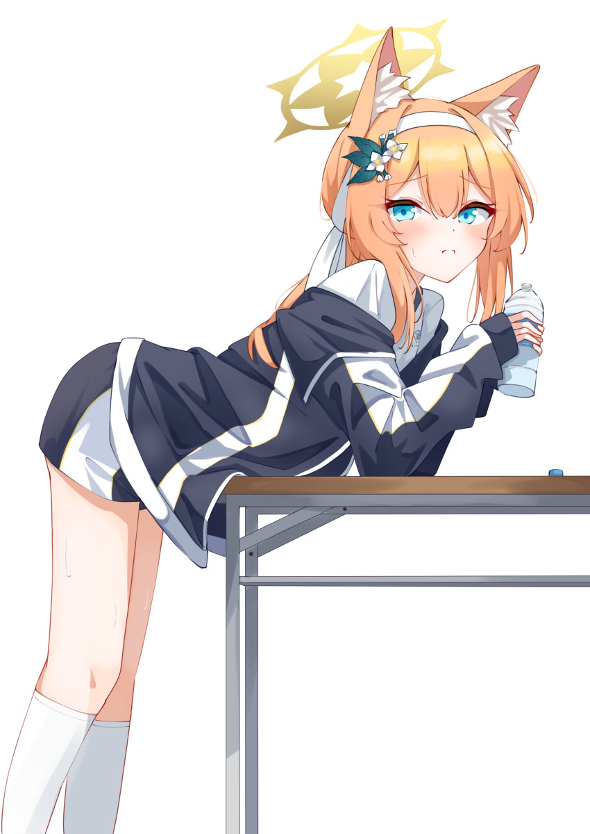 Mari (Blue Archive) Rule 34 Image