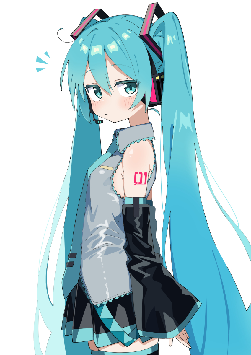 Hatsune Miku (Vocaloid) Rule 34 Image