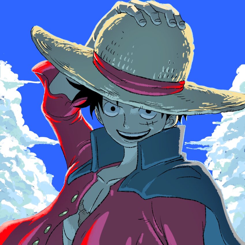 Monkey D. Luffy Rule 34 Image