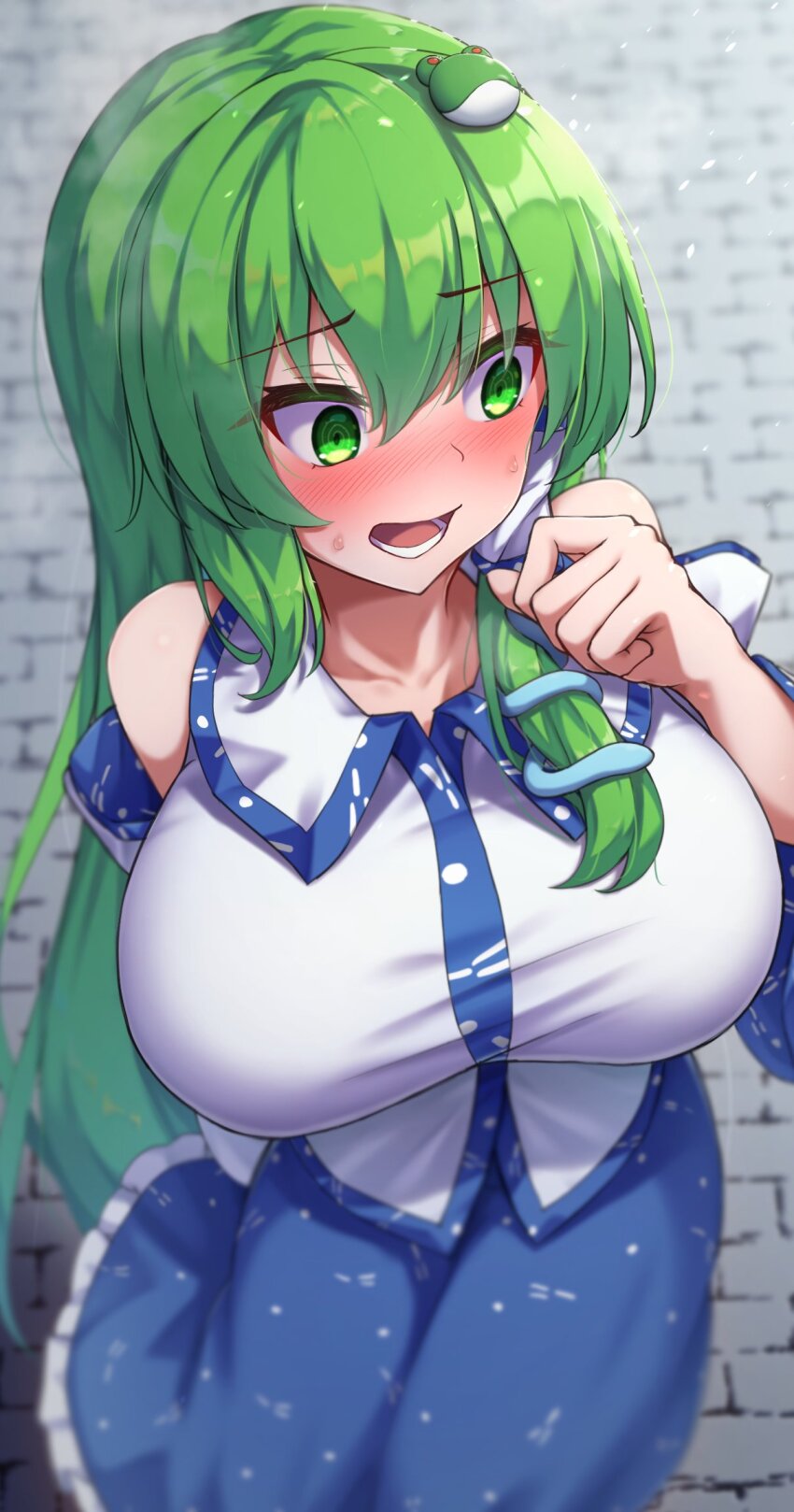 Kochiya Sanae (Touhou) Rule 34 Image