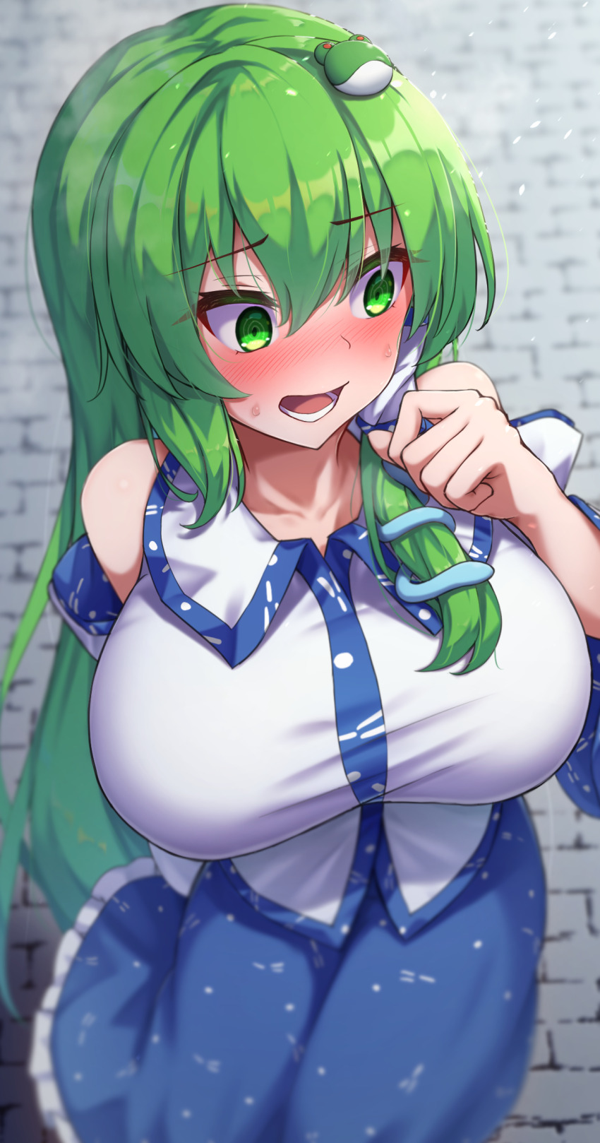 Kochiya Sanae (Touhou) Rule 34 Image