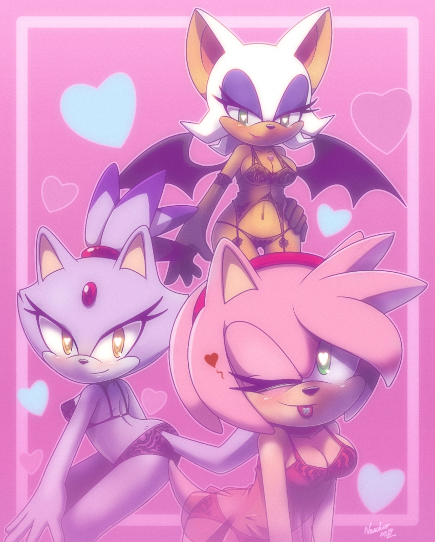 Amy Rose (Sonic (Series)) Rule 34 Image