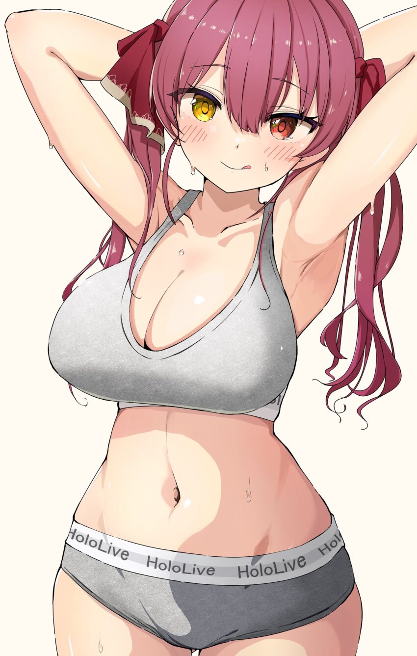 Houshou Marine (Hololive) Rule 34 Image