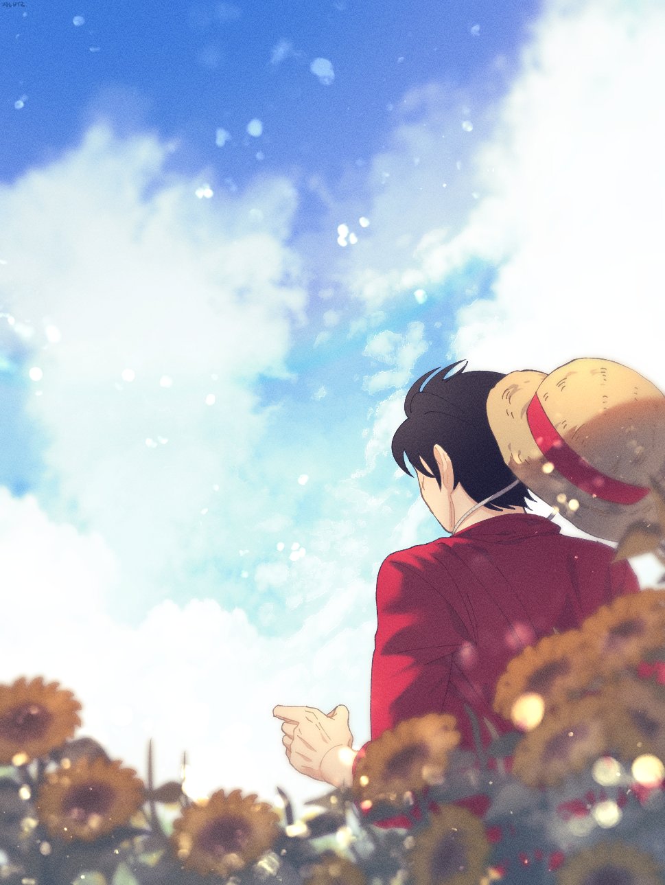 Monkey D. Luffy Rule 34 Image