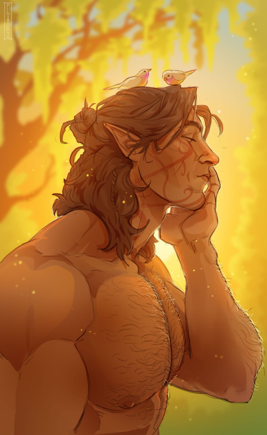Halsin (Baldur'S Gate) Rule 34 Image