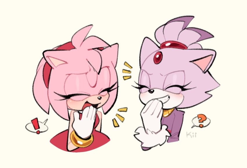 Amy Rose (Sonic (Series)) Rule 34 Image