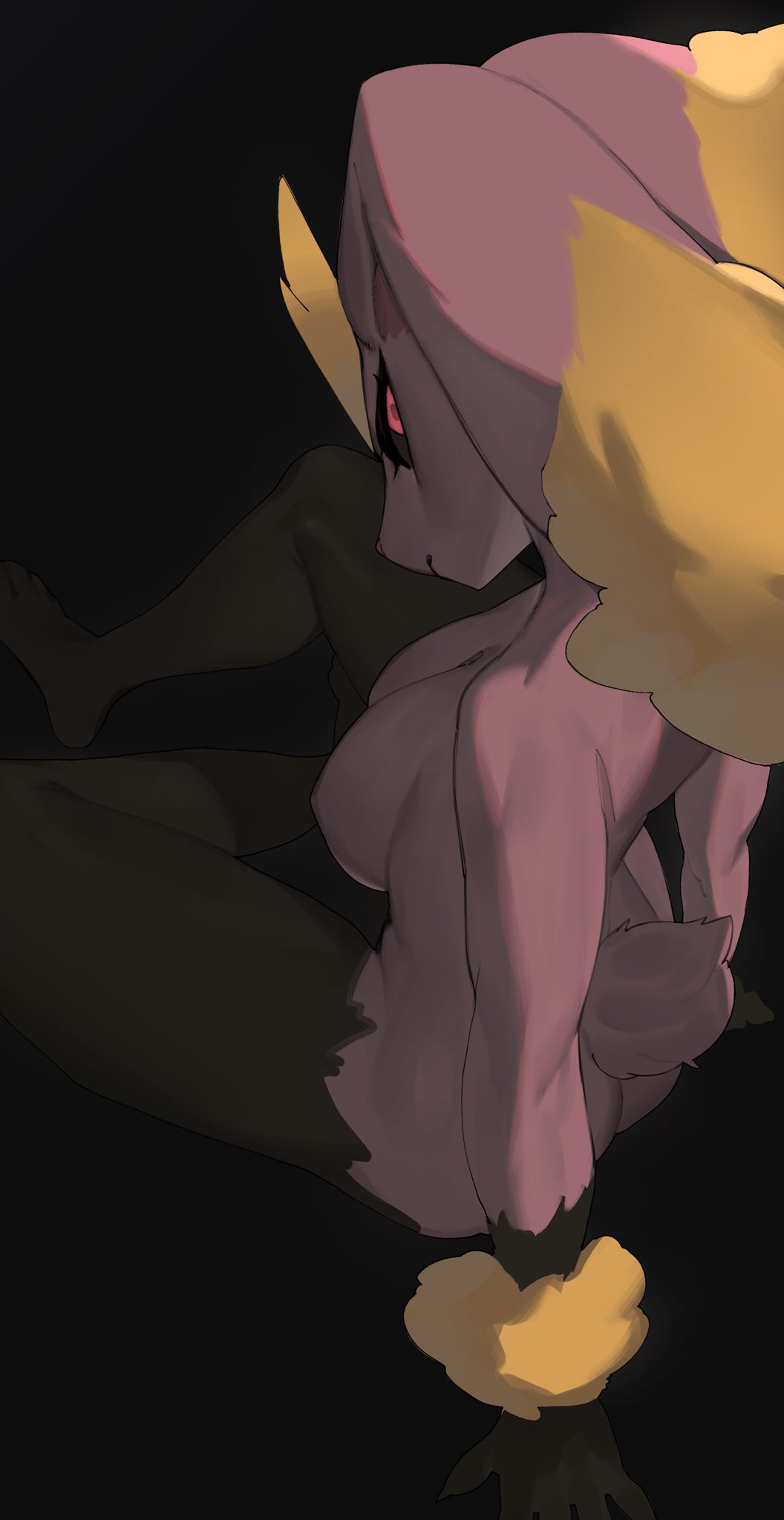 Lopunny (Pokemon) Rule 34 Image