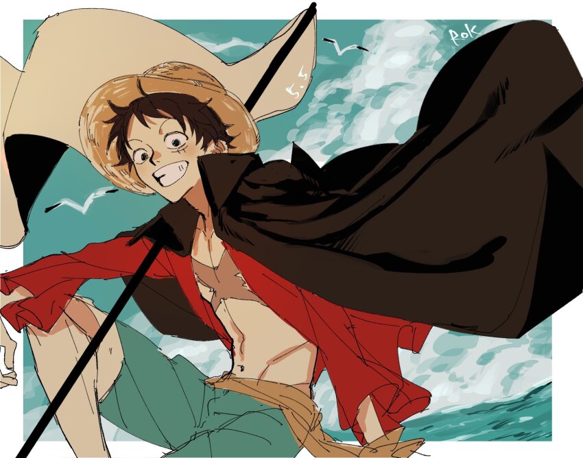 Monkey D. Luffy Rule 34 Image